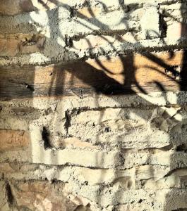 Melodia - Harmony Heaven