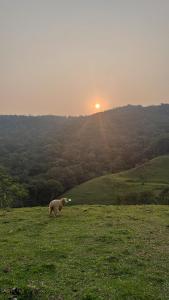 Cabana recanto do arruda