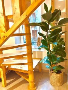Appartements Le Chalet Urbain - Montelimar : photos des chambres