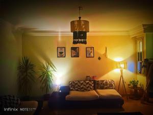 Furnished rooftop for rent in Maadi, Degla,