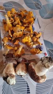 Les Chambres du Saladou