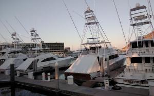 Harbour Junior suites