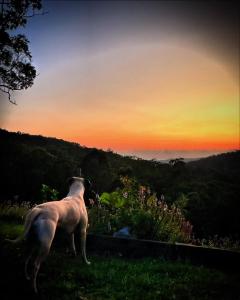 The House of the Rising Sun & Hot Spa