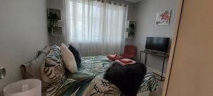 McGowen st accommodation
