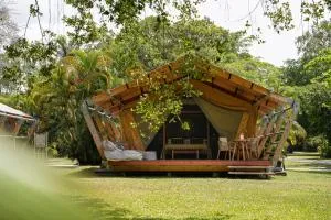 Daintree Beach Resort - Miallo