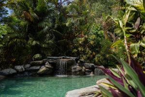 Daintree Beach Resort