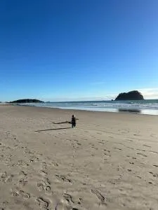 The Mount Beach Surfers batch 3 bedrooms - 芒格努伊山