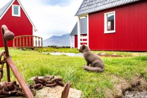 Mjoeyri Travel Holiday Homes