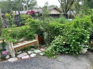 Gingerbird Art Suite