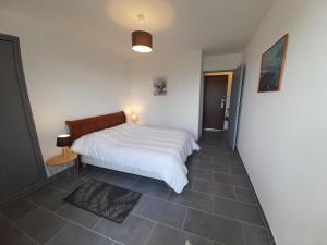 Appartements T3 lumineux centre-ville La Roche-Posay avec Wi-Fi - FR-1-541-154 : photos des chambres