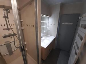 Appartements T3 lumineux centre-ville La Roche-Posay avec Wi-Fi - FR-1-541-154 : photos des chambres