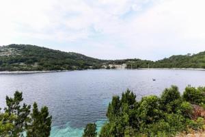 Apartmetns Franka Saplunara-One-Bedroom Apartment with Terrace and Sea View No2