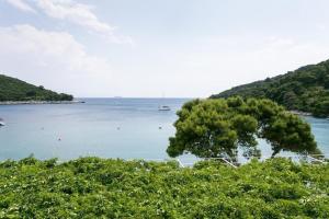 Apartmetns Franka Saplunara-One-Bedroom Apartment with Terrace and Sea View No2