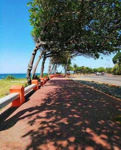 Tropical Estudio En El Centro De La Ciudad