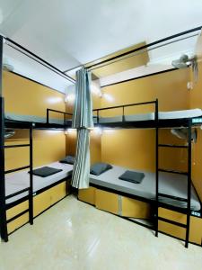 Hanoi New Comb Hostel