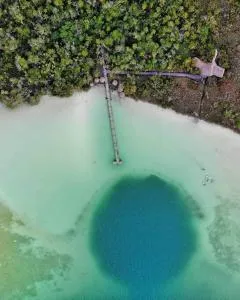 Vive Tulum Departamento de 2BR con alberca, cerca de cenotes y aeropuerto - Macario Gomez