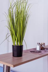 Coliving La Rebeca Pereira