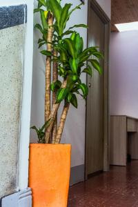 Coliving La Rebeca Pereira