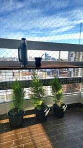 Acogedor departamento en pleno centro de Rosario