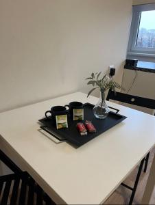 Charmante Wohnung im Herzen von Graz