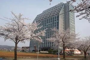 The WITT DOGO - Seosan