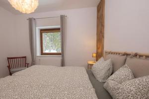 Apartma Medved - Pokljuka 