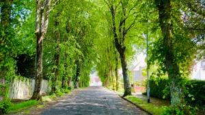 Longbank Luxury Lets