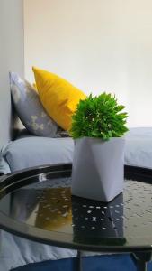 Expo gdl y col americana