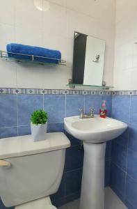 Expo gdl y col americana