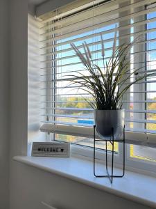 Cosy 2 Bed Service Apartment Netflix Hideaway Family Couples Staycation Tredegar Park Celtic Manor ICC Wales