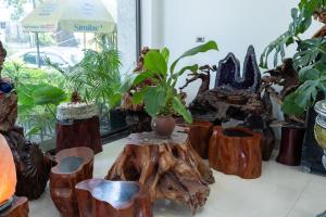 TamCoc Golden Shine Homestay