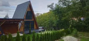 E&T-Cabin A frame - 古拉勒乌卢伊