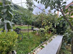 Guest House Pogradec 1