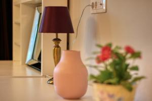Apartament modern Vitan