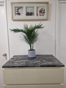 3 Bedroom furnished House