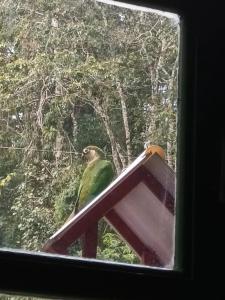 Cabana aconchegante na natureza