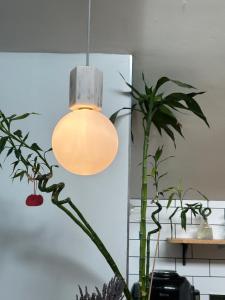 Beautiful&quite warehouse