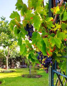 Holiday villa in 10 min from Fuengirola beach with sea views pool BBQ parking WiFi aircon big garden