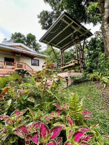 Casa Felicia