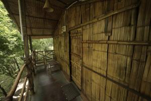 JUNGLE PARADISE FARM & GUEST HOUSE