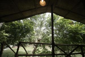 JUNGLE PARADISE FARM & GUEST HOUSE