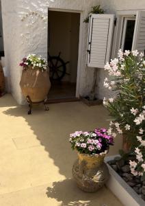 Superior Double Room with Sea View room in Oasi Di Casablanca