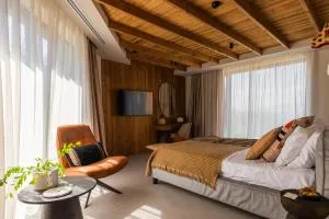 The Pines Bucegi Lodge - 布朗