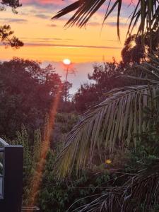 Levada House Prazeres