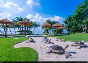 Happy House, Starview Bay, Free WiFi, Forestcity