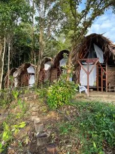 HostelyGlampingNativo - 布埃纳文图拉