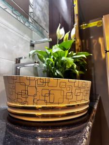 Modern Luxe Haven