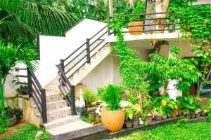 Shevo Oasis - 陶尔佩