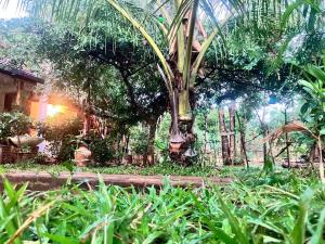 JUNGLE HOSTEL Habarana