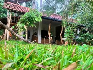 JUNGLE HOSTEL Habarana